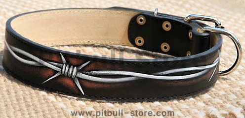 Leather-dog-collar-best-Barbed-Wire_LRG.jpg