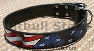 Hand painted by our artists leather dog collar - American Pride