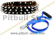 Dog Collar Leash (walking leash with swivel)+spike collar