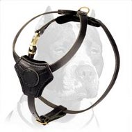 Small Leather Dog Harness for Pitbull puppy Small Leather Dog Harness for Pitbull puppy