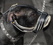 pitbull muzzles