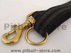 dog leash for walking