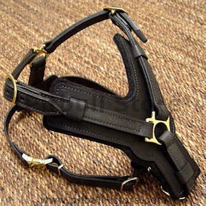 hand-made leather dog harness for pitbulls