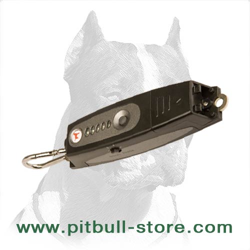 Safe for the Dog's health Modern Pitbull training tool