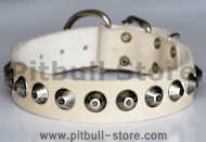 Gorgeous Wide Leather Dog Collar Gorgeous Wide Leather Dog Collar