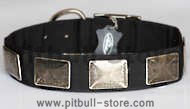 Nylon Dog Collar For Large and Medium Breeds With Vintage Plates