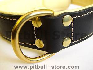 leather dog collar