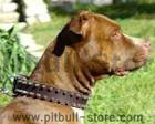Pitbull Dog Collars
