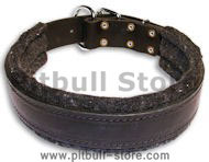 Padded Black collar 26'' for PITBULL /26 inch dog collar-C24 Padded Black collar 26'' for PITBULL /26 inch dog collar-C24