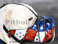 best leather dog muzzle for American pitbull