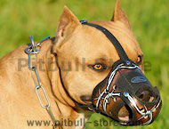 best designer leather dog muzzle for Pitbull