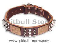 Gorgeous War Dog Leather Dog Collar-brass massive plates&spike