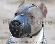 pitbull muzzles