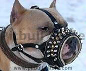 Royal Spiked Leather Dog Muzzle