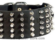 3 inch Spiked and Studded Pitbull 【Collar】 : Pitbull Breed: Dog ...