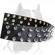 Best Studs and Spikes Leather Dog 【Collar】 for Pitbull : Pitbull