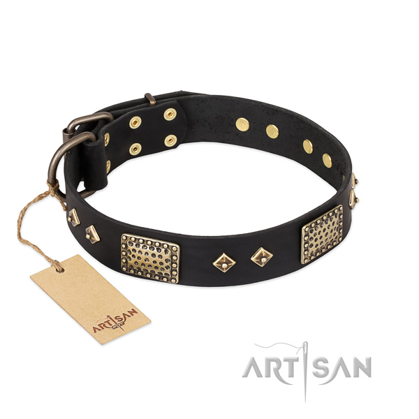 Unique design studs on genuine leather dog collar