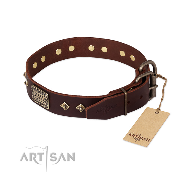 Daily use full grain genuine leather collar with adornments for your dog