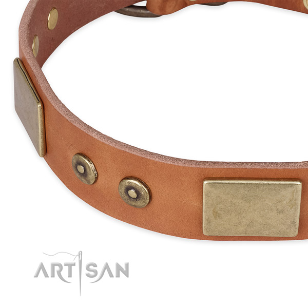 Walking natural genuine leather collar with corrosion resistant buckle and D-ring