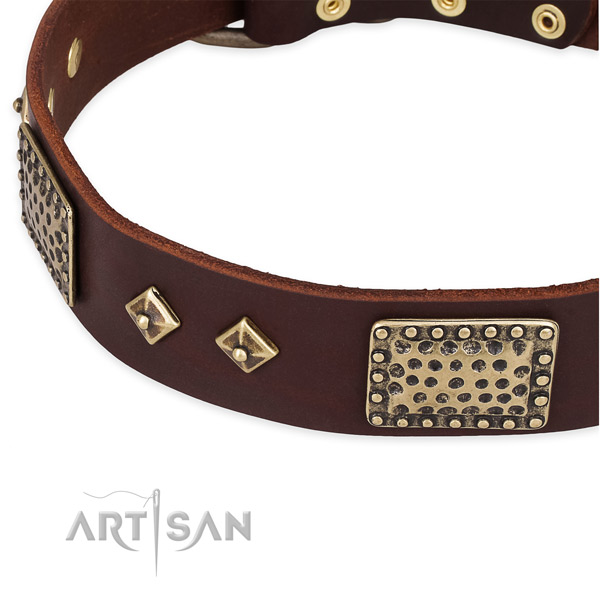 Daily use leather collar with rust-proof buckle and D-ring