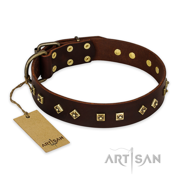 Significant design adornments on leather dog collar