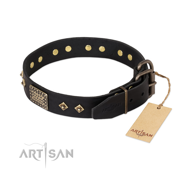 Walking full grain natural leather collar with embellishments for your pet