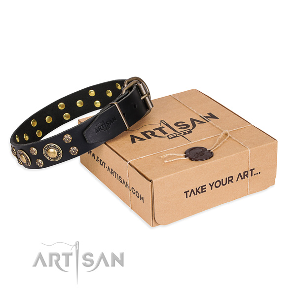 Casual style leather dog collar with astonishing decorations