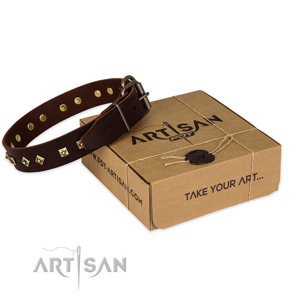 Stylish design full grain leather dog collar for stylish walking