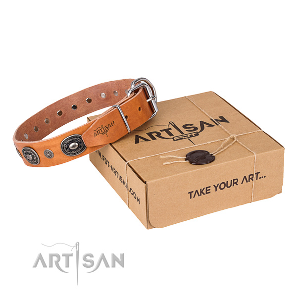 Fine quality leather dog collar for everyday use