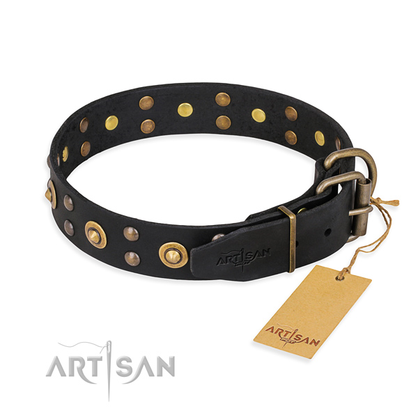 Walking natural genuine leather collar with embellishments for your four-legged friend