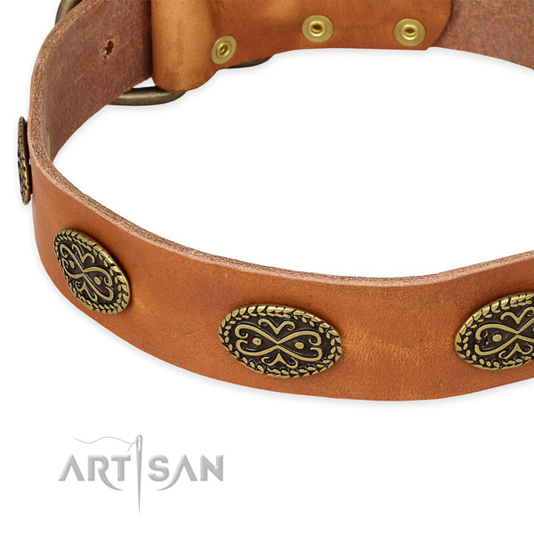 Walking full grain genuine leather collar with rust-proof buckle and D-ring