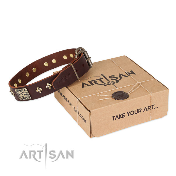 Fine quality full grain genuine leather dog collar for daily use