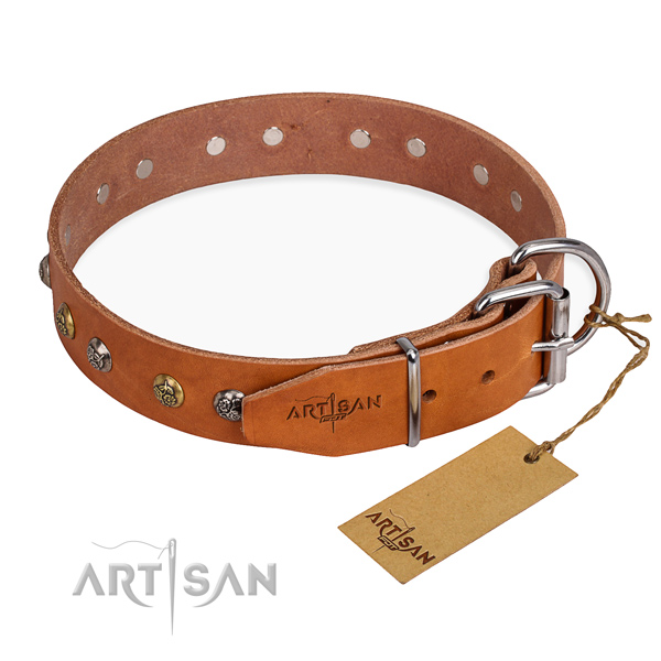 Awesome design decorations on leather dog collar