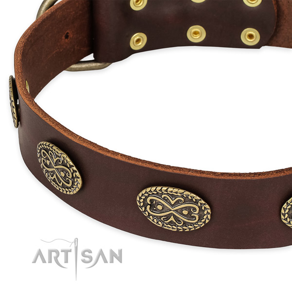 Snugly fitted leather dog collar with extra strong durable fittings