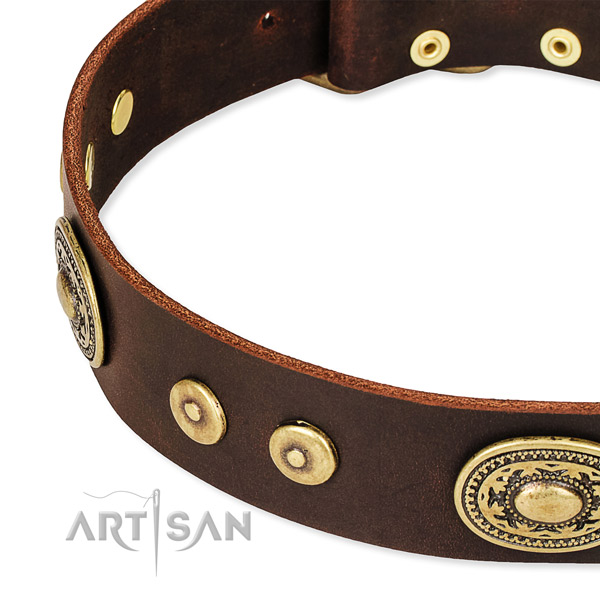 Easy to put on/off leather dog collar with extra strong durable fittings