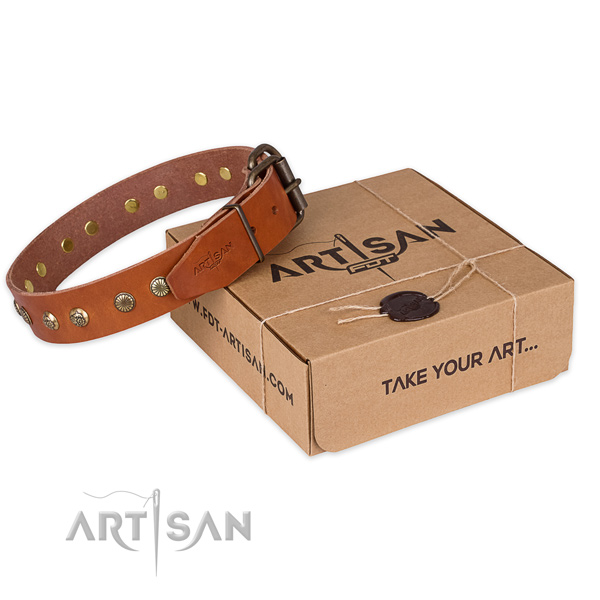 Stylish design leather dog collar for daily use