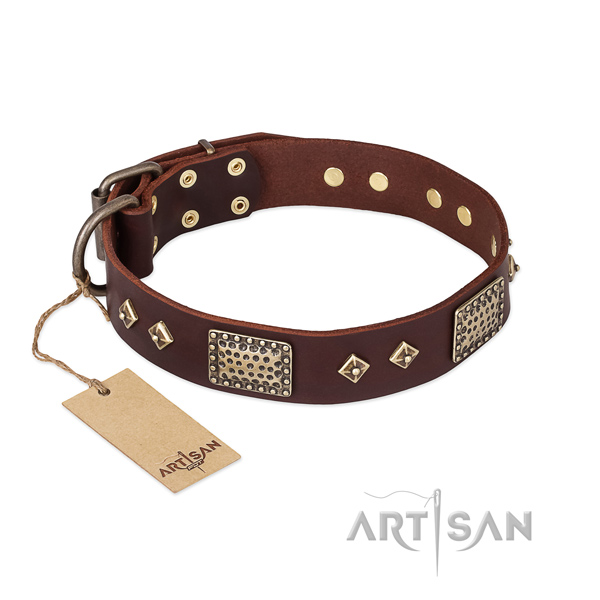 Incredible design adornments on genuine leather dog collar