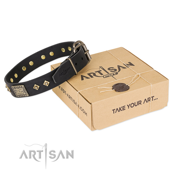 Awesome full grain natural leather dog collar for stylish walking