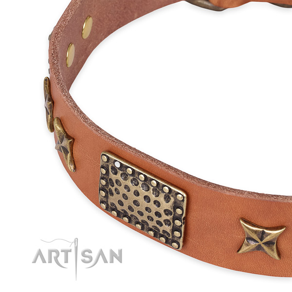 Snugly fitted leather dog collar with extra sturdy durable hardware