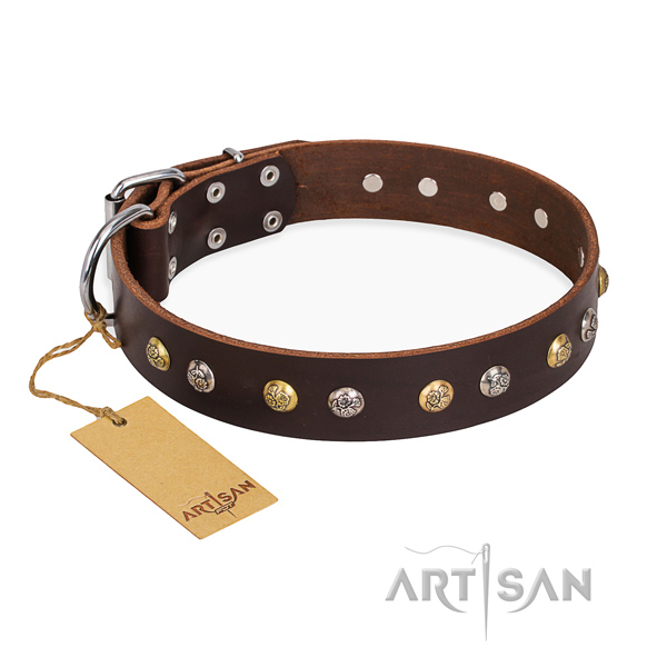 Everyday leather collar for your gorgeous canine