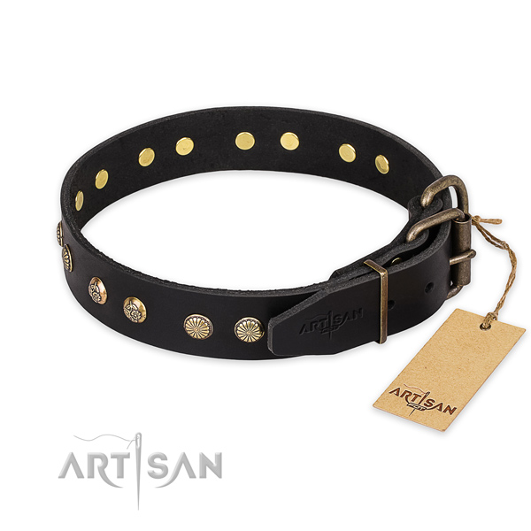 Stylish walking full grain natural leather collar with embellishments for your doggie
