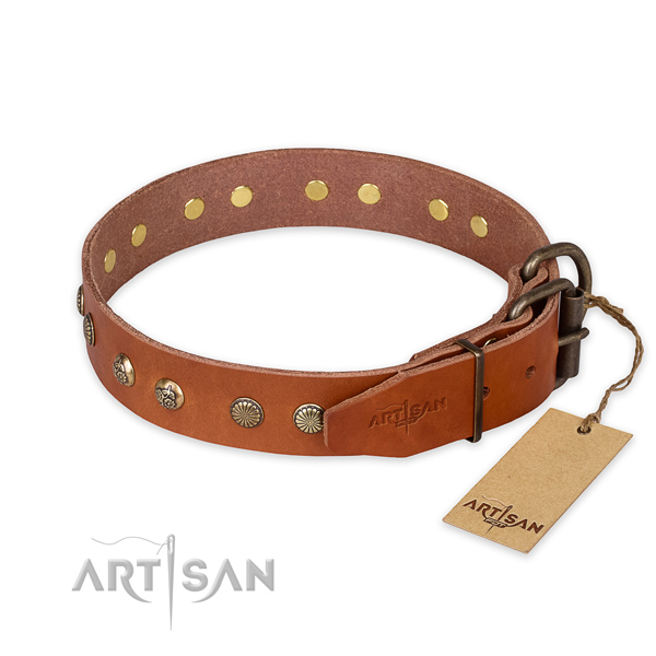Stylish walking full grain natural leather collar with studs for your four-legged friend