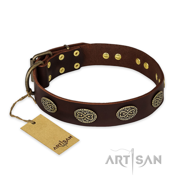 Stylish walking full grain genuine leather collar with embellishments for your four-legged friend