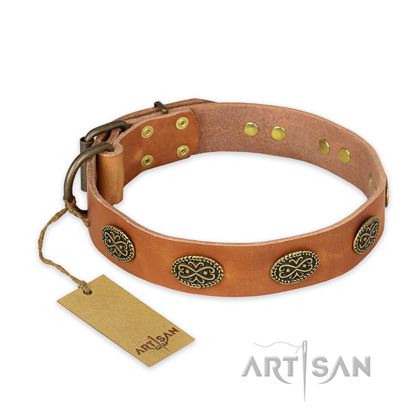 Amazing design embellishments on full grain natural leather dog collar