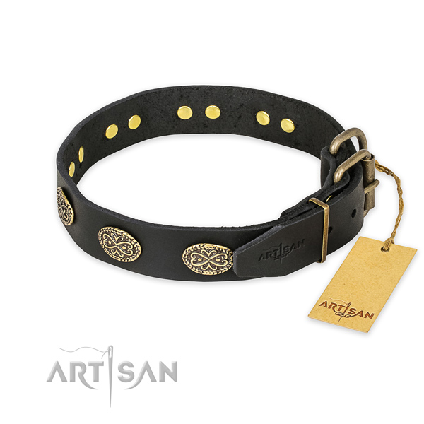 Walking full grain natural leather collar with embellishments for your four-legged friend