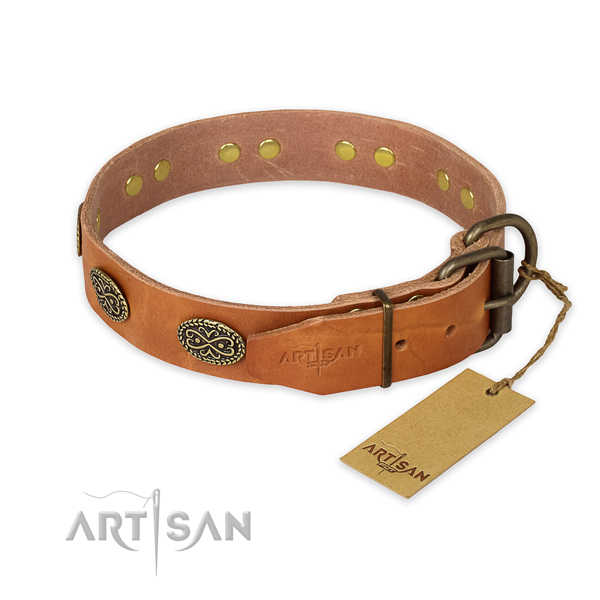 Walking full grain natural leather collar with adornments for your pet