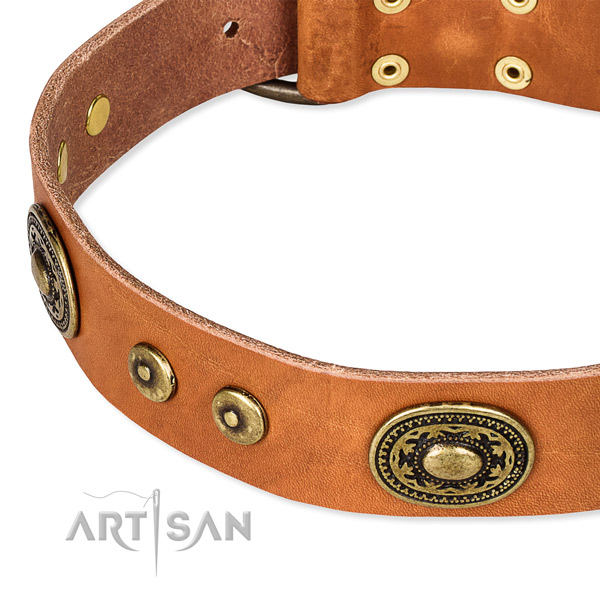Adjustable leather dog collar with resistant brass plated fittings