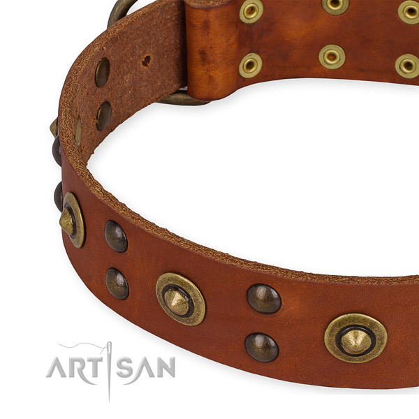 Easy to adjust leather dog collar with extra strong durable set of hardware