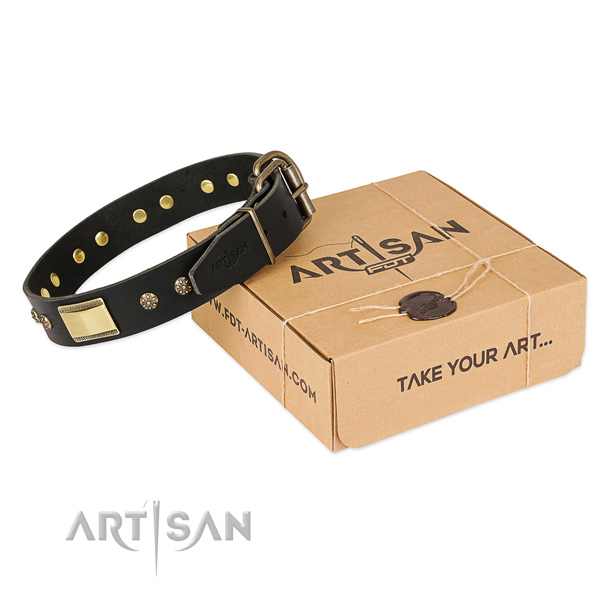 Awesome full grain natural leather dog collar for stylish walks