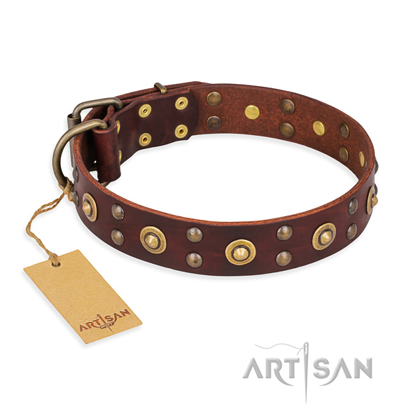 Top notch design embellishments on full grain leather dog collar